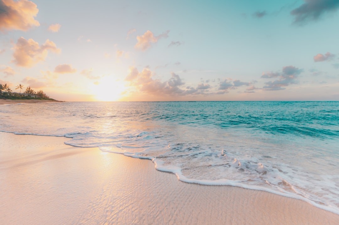 Ocean Vibes